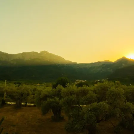 Aegli Hotel Skala Potamia (Thasos)