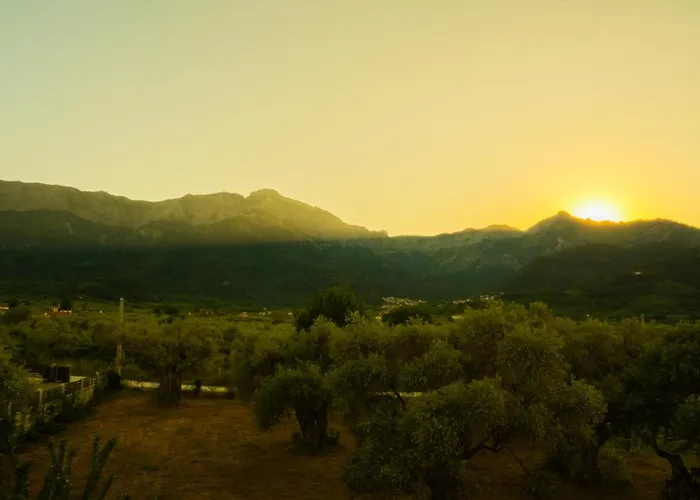 Aegli Hotel Skala Potamia (Thasos)